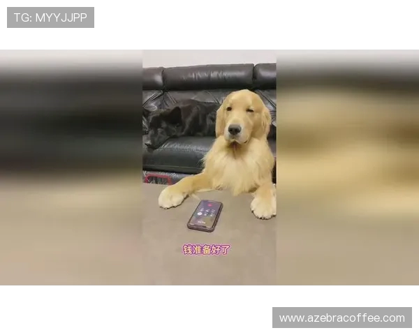 鐜嬭壓杩亱鎯呮洕鍏夛紵涓庝笢鍖楄€佷埂寰愭櫒鐨撶敎铚滃悓娓革紝涓や汉鍚屼负涔掍箵鍥芥墜